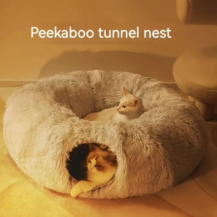 Cats Bed